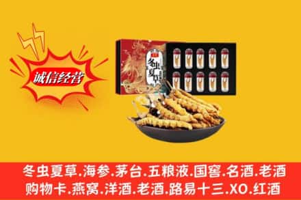 锡林郭勒苏尼特左旗回收冬虫夏草